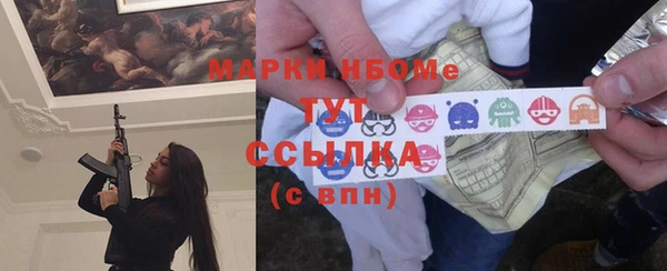 индика Алзамай