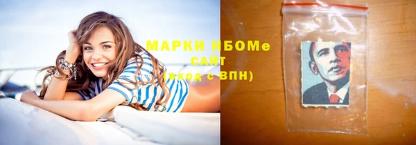 индика Алзамай