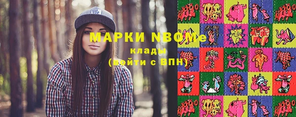 индика Алзамай