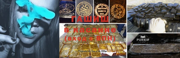 индика Алзамай