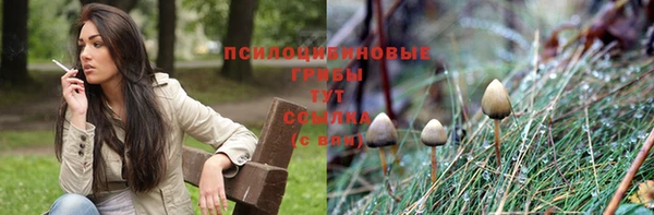индика Алзамай