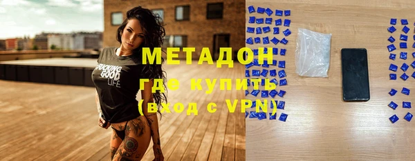 индика Алзамай