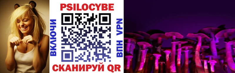 мега tor  Петровск  Галлюциногенные грибы Psilocybe 